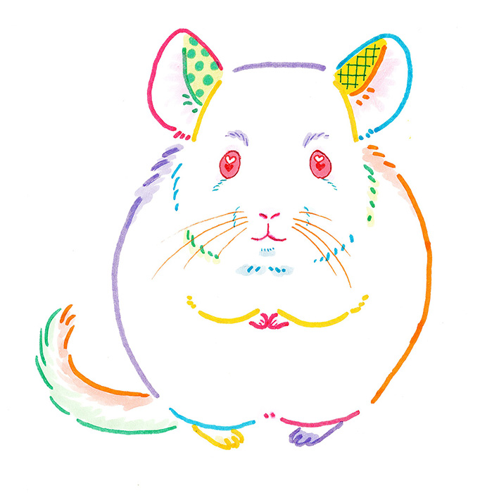 カラーマウス